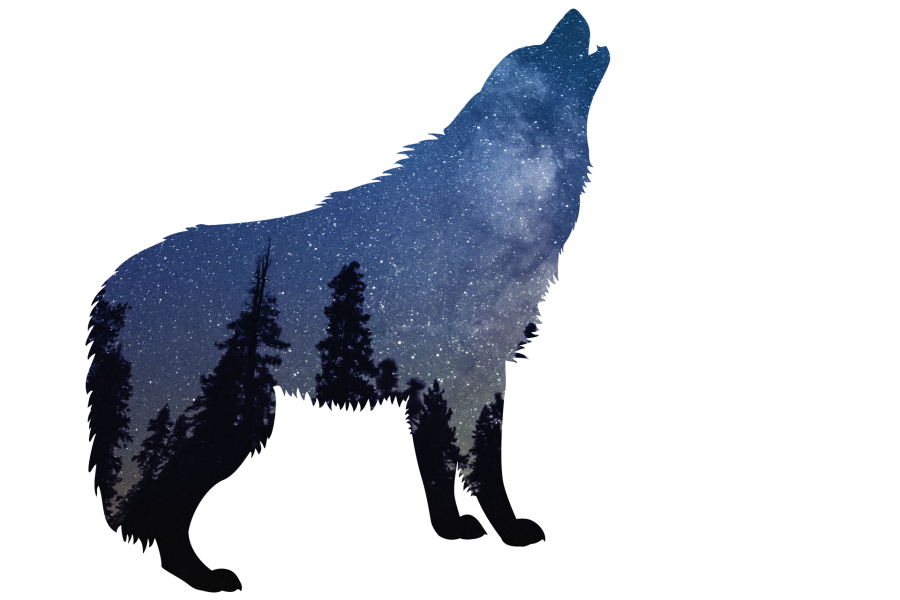 Warehousing1 Teamevent im Homeoffice | WH1 Blog