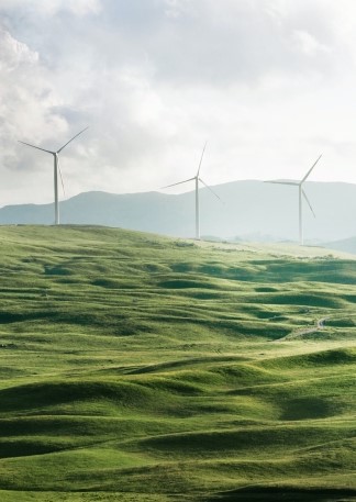 Windräder auf grüner Wiese